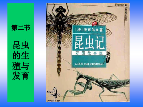 北师大版初中生物八年级上册 第六单元第十九章第二节 动物的生殖和发育 课件(共37张PPT)