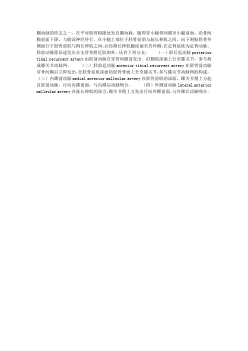 胫前动脉结构与解剖简述
