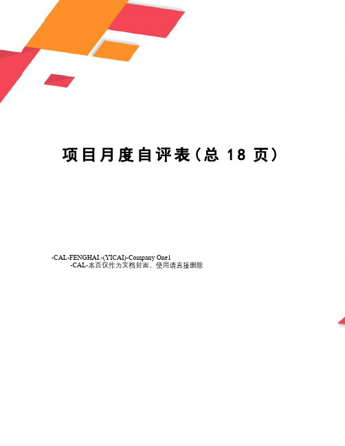 项目月度自评表