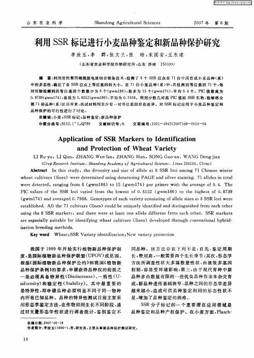 利用SSR标记进行小麦品种鉴定和新品种保护研究