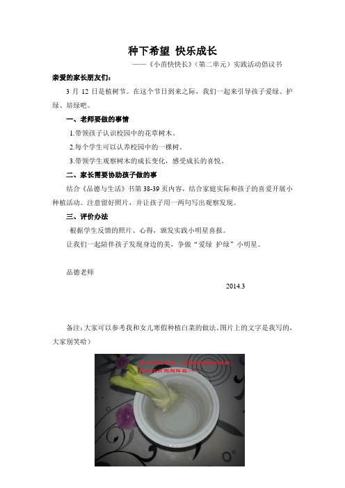 小苗快快长实践活动倡议孙小1
