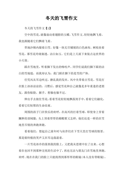 冬天的飞雪作文