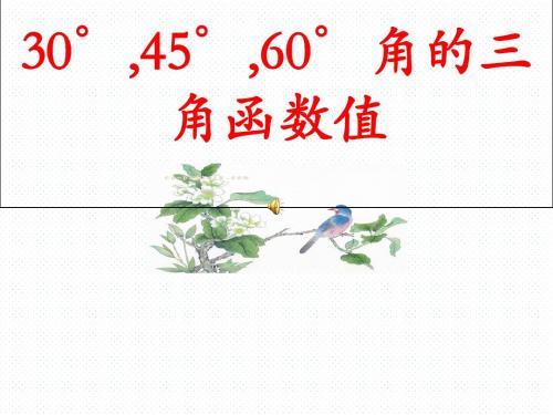 北师大版九年级数学下册1.2  30°、45°、60°特殊角的三角函数值