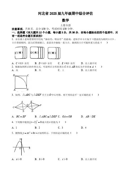 河北省廊坊市2024-2025学年九年级上学期11月期中数学试题(含答案)