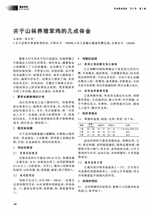 关于山林养殖笨鸡的几点体会