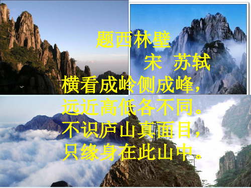华东师大版数学七年级上册由立体图形到视图教学课件1