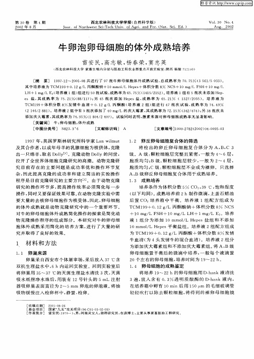 牛卵泡卵母细胞的体外成熟培养