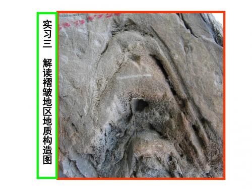 1104实3褶皱区构造读图分析汇总
