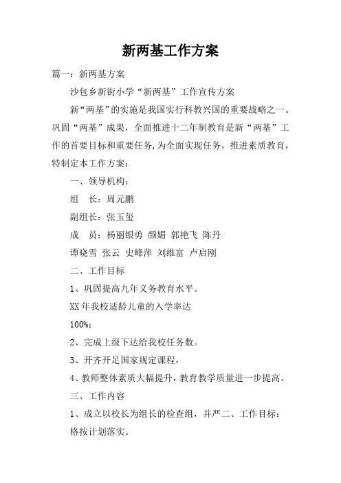 新两基工作方案doc
