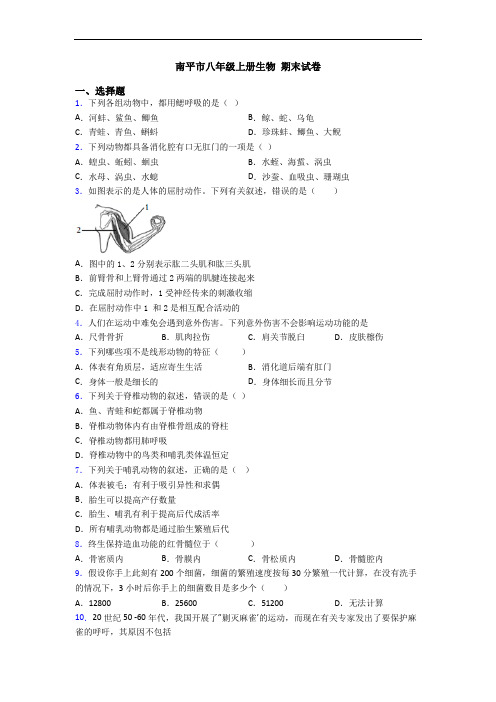 南平市八年级上册生物 期末试卷