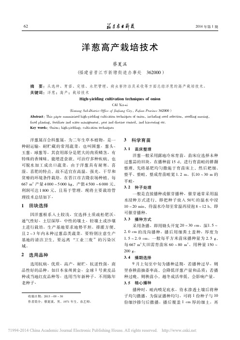 洋葱高产栽培技术