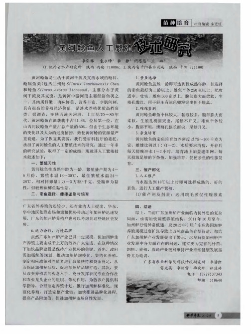 黄河鲶鱼人工繁殖技术研究