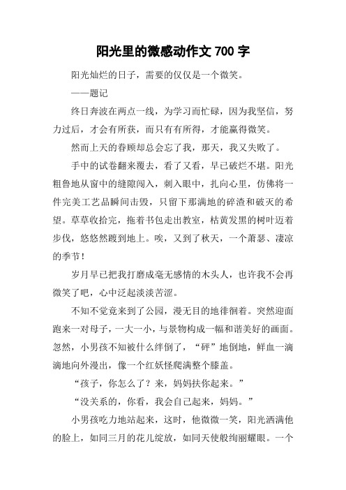 阳光里的微感动作文700字