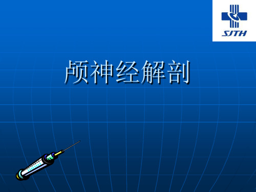 十二对颅神经PPT课件