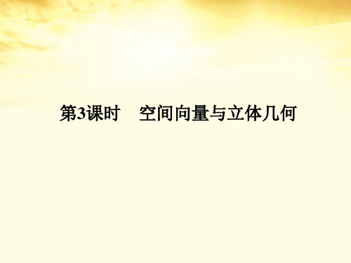 高三数学二轮复习 第一篇 专题4 第3课时空间向量与立体几何课件 理