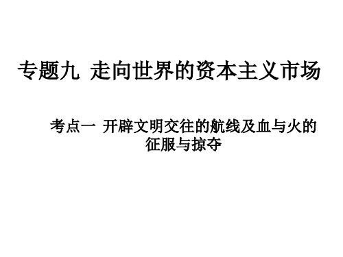 高中历史必修二《专题五走向世界的资本主义市场二血与火的征服与掠夺》1097人民版PPT课件