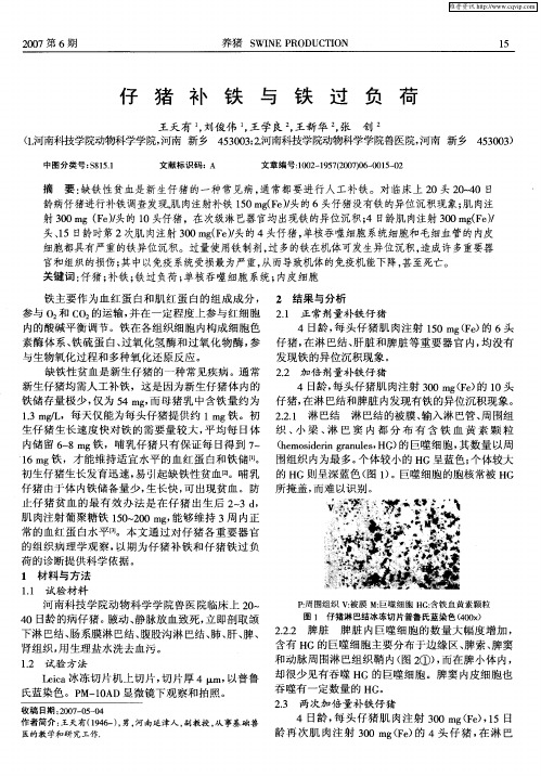 仔猪补铁与铁过负荷