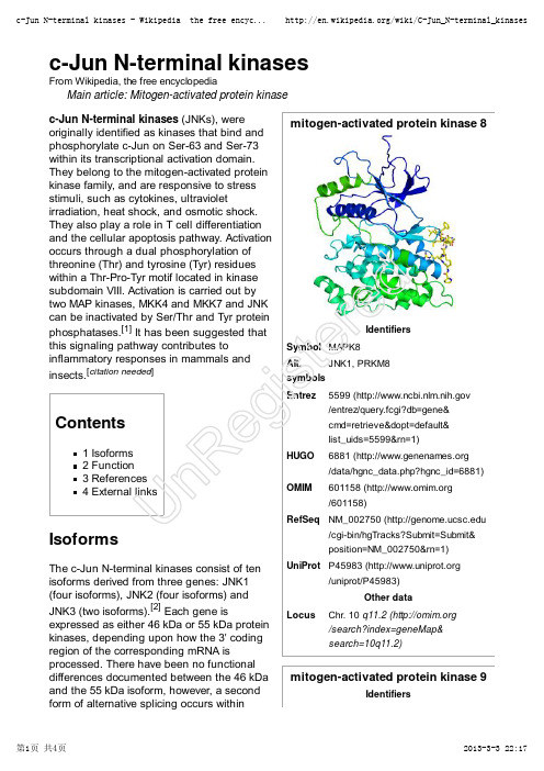 c-Jun N-terminal kinases