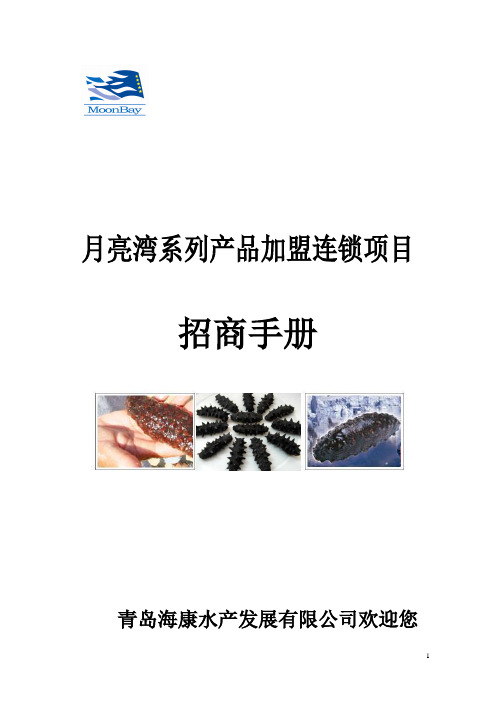 【手册】系列产品加盟连锁项目招商手册(WORD15页)