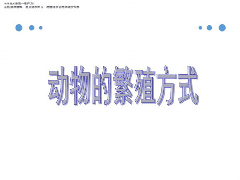 四年级下册科学教学课件动物的繁殖活动课件1教科版