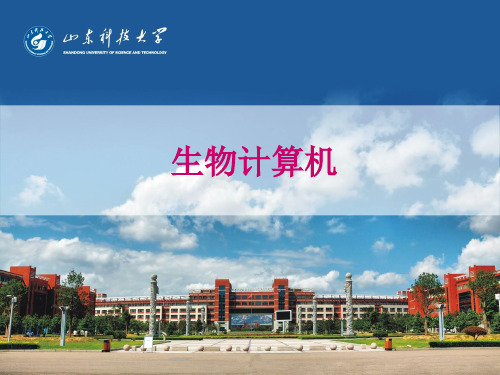 生物计算机
