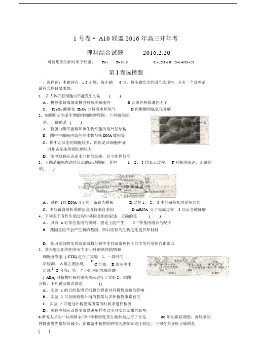 安徽省A10联盟届高三上学期开年考试理科综合试题word版含解析汇总.doc