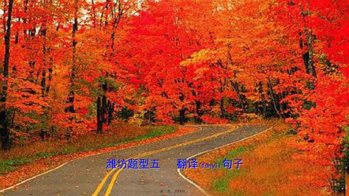 中考英语题型专项复习 题型五 翻译句子课件