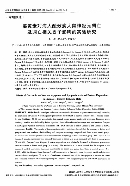 姜黄素对海人酸致痫大鼠神经元凋亡及凋亡相关因子影响的实验研究
