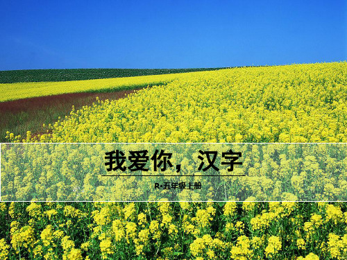 五年级上册语文课件-我爱你,汉字 人教新课标(共36张PPT)