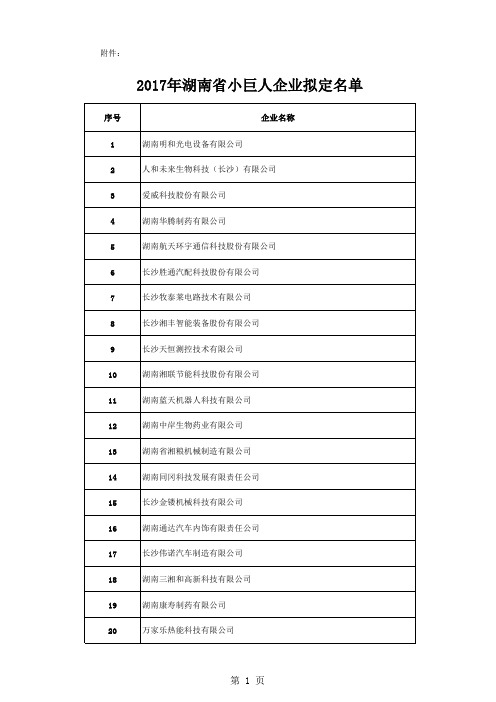 2017年湖南省小巨人企业拟定名单