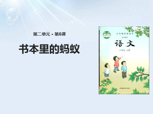 书本里的蚂蚁-ppt优秀课件