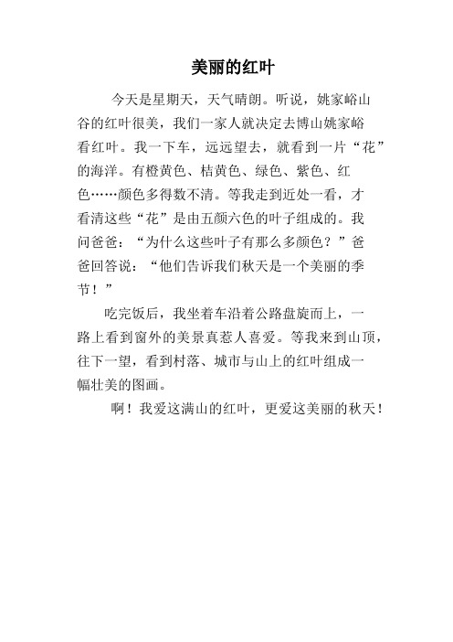 美丽的红叶