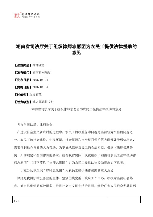 湖南省司法厅关于组织律师志愿团为农民工提供法律援助的意见