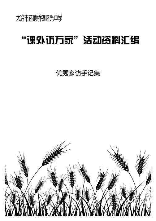 优秀家记手记集