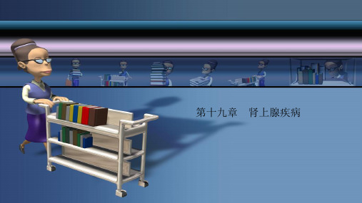肾上腺疾病的超声诊断