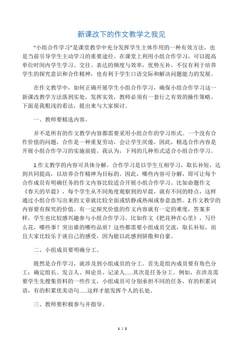 新课改下的作文教学之我见-精品教育文档