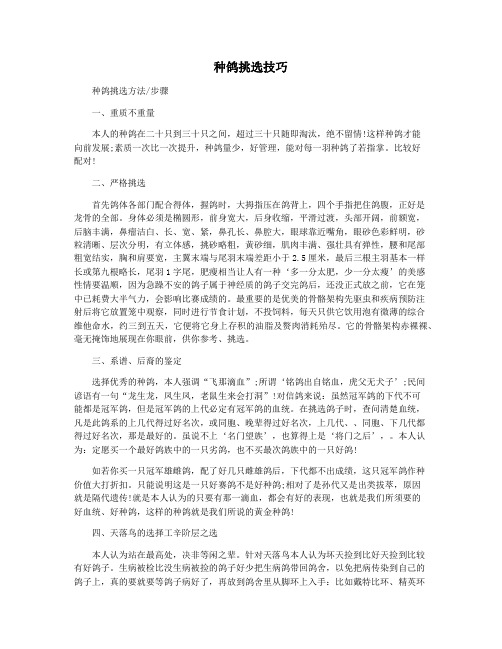 种鸽挑选技巧