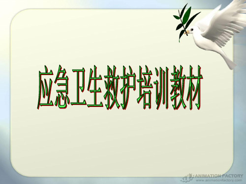 应急救护培训精PPT课件