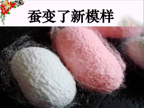 《蚕变了新模样》动物的生命周期 精品PPT课件(21张)