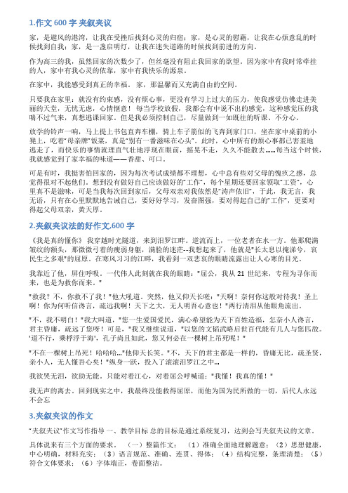 夹叙夹议的作文600范文