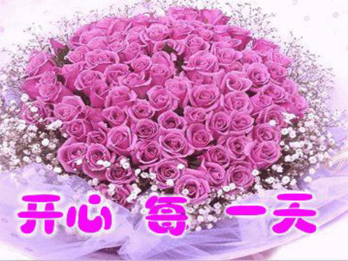 初中生职业生涯设计定稿(课堂PPT)