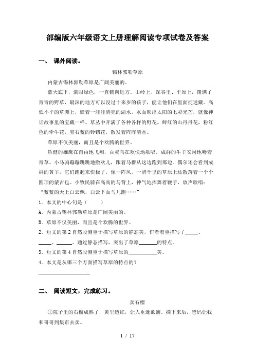 部编版六年级语文上册理解阅读专项试卷及答案