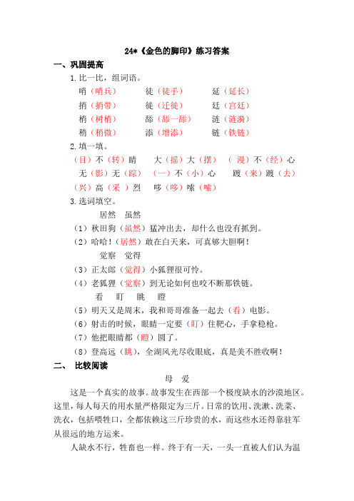 24《金色的脚印》练习答案