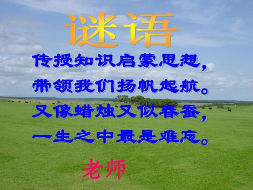 春天的雨点