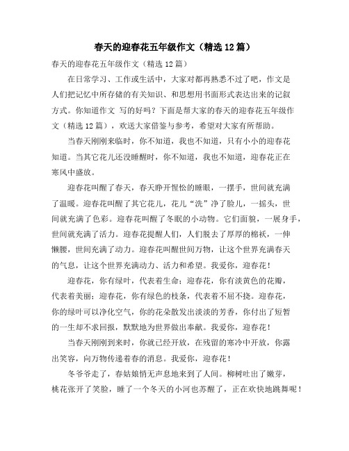 春天的迎春花五年级作文(精选12篇)