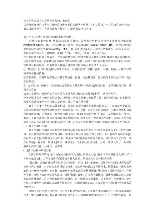 脑干解剖与临床