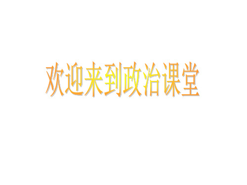 高中思想政治概述