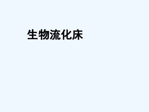 生物流化床 PPT