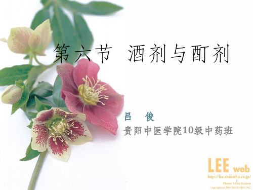 酒剂和酊剂ppt课件