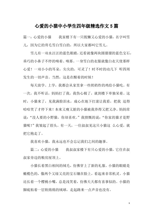 心爱的小猫中小学生四年级精选作文5篇